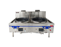 新款節(jié)能雙大鍋灶